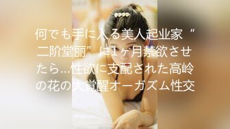 何でも手に入る美人起业家“二阶堂丽”に1ヶ月禁欲させたら…性欲に支配された高岭の花の大覚醒オーガズム性交