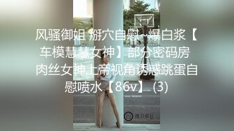 [2DF2] 沙发后入刚拍完写真表情淫荡的小骚妹[MP4/100MB][BT种子]