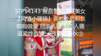 究极反差骚婊！推特极品女神气质御姐【粉红色海豚】最新订阅，有钱人的性玩物无套啪啪捣白浆 (4)