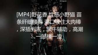 花椒【霞宝】性感热舞剪辑~黑丝美腿【217V】 (173)