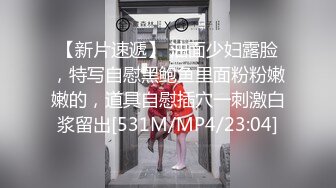 顽皮的巨乳女仆斯特拉考克斯她的肛门乱搞大鸡巴老板