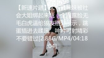 台湾情侣泄密性欲旺盛的女上司3 (2)