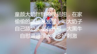 听声可射~【声优小魅魔】大奶美女 自慰AMSR，假屌抽插淫语骚话娇喘，爸爸操的我好爽，开档黑丝手指插入呻吟【80v】 (8)