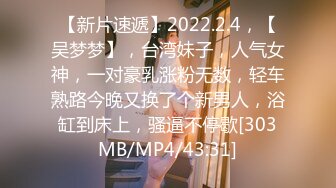 MSD-116 黑丝房客纯爱艳遇 麻豆传媒映画