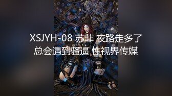 XSJYH-08 苏菲 夜路走多了总会遇到骚逼 性视界传媒