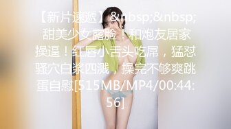 Al&mdash;李一桐 女仆无码内射