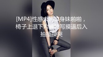 另一只巨乳骚母狗，嘴上说着不要下面却流了很多水