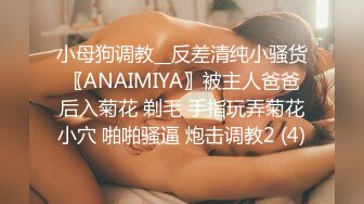 小母狗调教__反差清纯小骚货〖ANAIMIYA〗被主人爸爸后入菊花 剃毛 手指玩弄菊花小穴 啪啪骚逼 炮击调教2 (4)