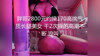 【自整理】欧美又白又瘦胸上还有肉的极品身材大长腿，掰开美鲍和菊花让你观赏！【251V】 (51)