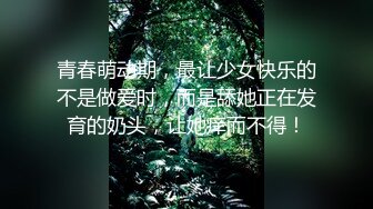 穷人女神富人母狗！推特极品反差大奶空姐【小雨是个大奶骚空姐】奢侈的生活下机就被金主肏