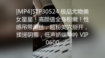 【小北寻欢】超清4K设备偷拍，2800网约极品外围女神，渔网情趣装诱惑指数暴涨