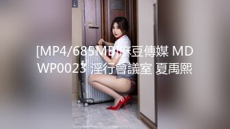 [MP4/685MB]麻豆傳媒 MDWP0023 淫行會議室 夏禹熙