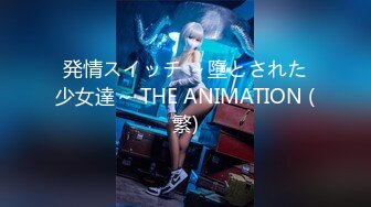 発情スイッチ ～墮とされた少女達～ THE ANIMATION (繁)