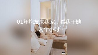 [MP4]麻豆传媒-性欲极強的女特工 腥城律子的追击人物