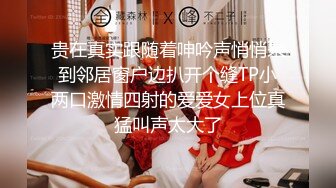 钛合金TiTi NO.059 女仆小玉