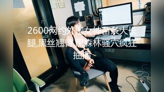 [2DF2] 《李八八外围兼职探花》约炮高颜值情趣内衣美乳模特兼职 [MP4/116MB][BT种子]