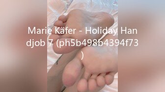 Marie Käfer - Holiday Handjob 7 (ph5b498b4394f73)