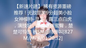 【香蕉视频】xjx-0113 相亲走错门痴女不放人 波尼