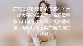 【12月重磅】，推特精致白富美女神【Song_ss95578233】福利完整版，穷人的女神，富人的母狗