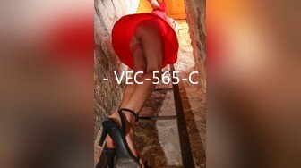 - VEC-565-C