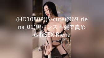 FSET-506 酔い潰れて助手席で寢る嫁の妹に手を出した俺