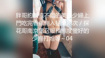 低清晰度 (21)