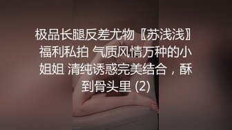 极品长腿反差尤物〖苏浅浅〗福利私拍 气质风情万种的小姐姐 清纯诱惑完美结合，酥到骨头里 (2)