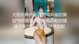 《新版百度云泄露流出第三季全程露脸少妇和情人偷情》女主肤白丰满屁股圆润，骚劲十足主动，享受着大肉棒塞满美穴的极致快感