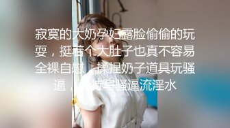 寂寞的大奶孕妇露脸偷偷的玩耍，挺着个大肚子也真不容易全裸自慰，揉捏奶子道具玩骚逼，看特写骚逼流淫水