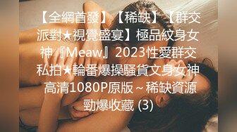 【全網首發】【稀缺】【群交派對★視覺盛宴】極品紋身女神『Meaw』2023性愛群交私拍★輪番爆操騷貨文身女神 高清1080P原版～稀缺資源勁爆收藏 (3)