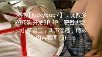 大神【luckydog7】，调教多位母狗开发3P 4P，肥臀大奶、小家碧玉，叫声淫荡，精彩内容看图 (5)