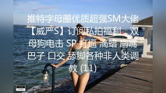 抖S麥娜會長大人被抖M筆記支配了 3