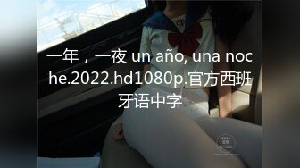 一年，一夜 un año, una noche.2022.hd1080p.官方西班牙语中字